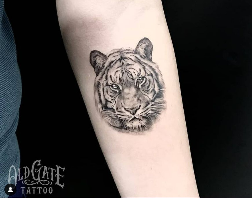 tatuaggio uomo disegno volto tigre