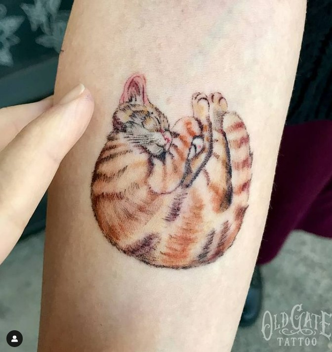 tatuaggio gatto piccolo