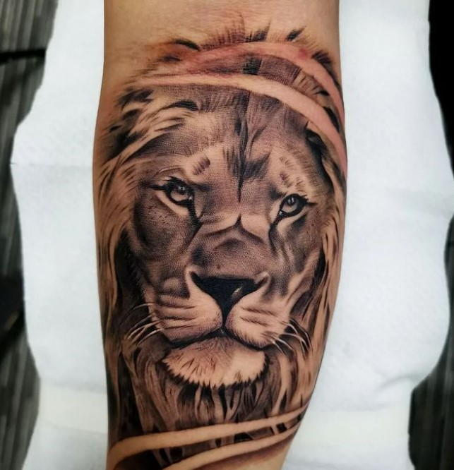 tatuaggio leone realistico